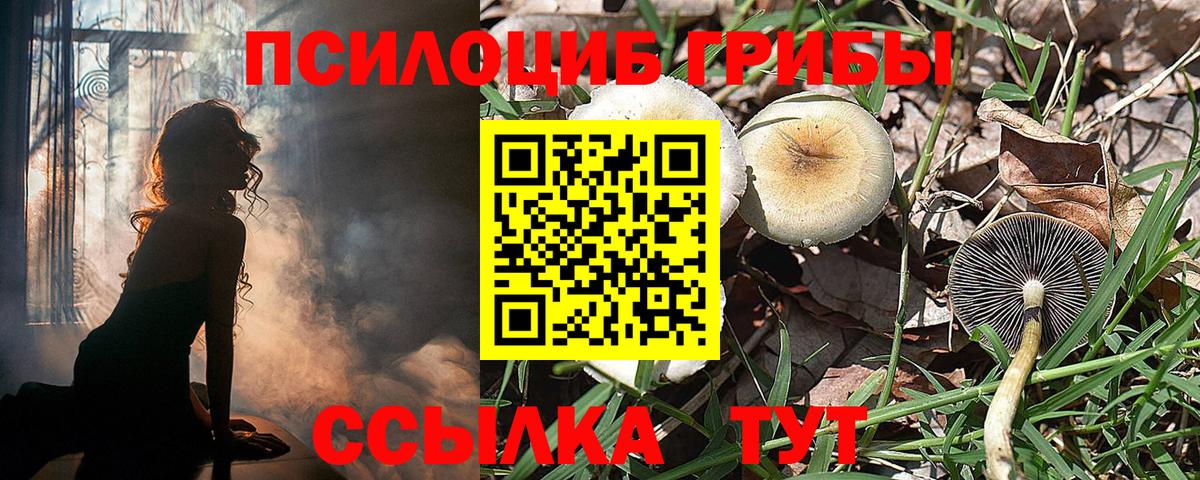 Галлюциногенные грибы Magic Shrooms Мыски