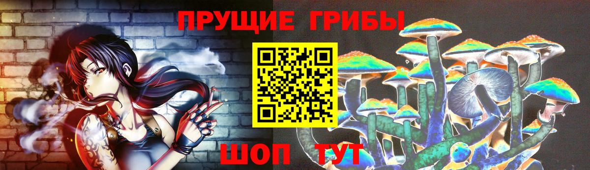 Мыски  Псилоцибиновые грибы мицелий  Вход с VPN 