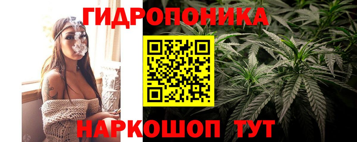 Канабис семена  Конопля SATIVA & INDICA  Бошки Шишки White Widow  Вход с VPN  МАРИХУАНА SATIVA & INDICA  Мыски 